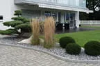 moderne Bepflanzung