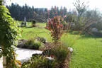 Naturgarten