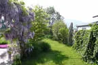 Bepflanzung Bild 42