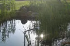 Teichzubehör Bild 15