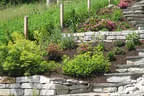 Hausgartengestaltung