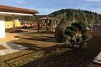 moderne Dachgartengestaltung