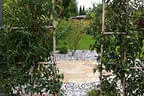 Gartengestaltung Bild 12