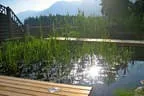 Eder`s NATUR PUR (Teichtyp I) Bild 1