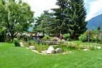 Eder`s NATUR PUR (Teichtyp I) Bild 5
