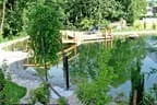 Eder`s NATUR PUR (Teichtyp I) Bild 6