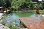 naturnaher Schwimmteich