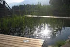 Eder`s NATURNAH (Teichtyp II) Bild 17