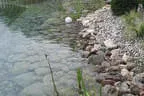 Eder`s NATURNAH (Teichtyp II) Bild 19