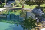Eder`s NATURNAH (Teichtyp II) Bild 29