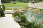 moderner Schwimmteich