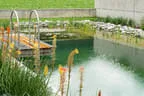 Eder`s NATURNAH (Teichtyp II) Bild 4
