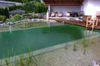 Naturpool am Haus