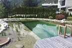 Eder`s NATUR-POOL (Teichtyp IV) Bild 19