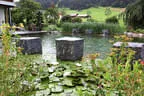 Naturpool eingewachsen