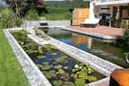 Eder`s NATUR-POOL (Teichtyp IV) Bild 5