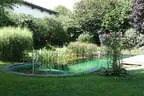 Eder`s NATUR-POOL (Teichtyp IV) Bild 26