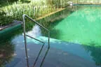 Eder`s NATUR-POOL (Teichtyp IV) Bild 25