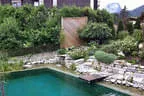 Eder`s NATUR-POOL (Teichtyp IV) Bild 23