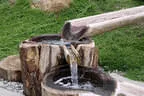 Wasserspiel Detail