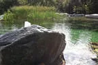 Quellstein am Teich