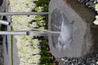 modernes Wasserspiel