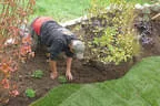 Gartenpflege Bild 6
