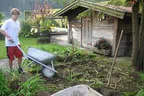 Gartenpflege Unkrautjäger